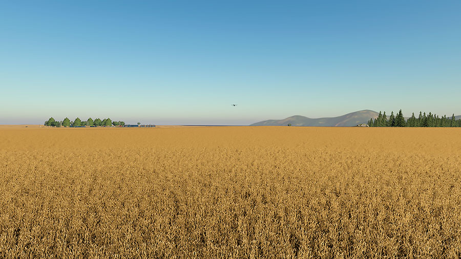 Some of the many fields with wheat, ready to be harvested